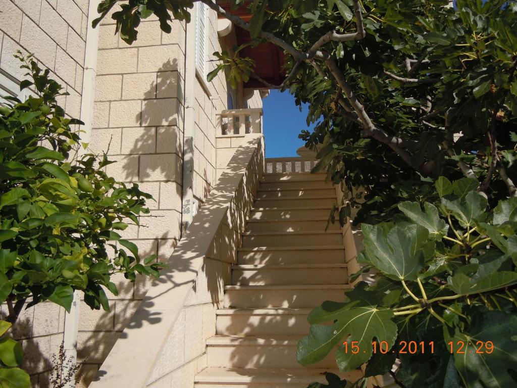 Central Apartment Dubrovnik Quarto foto